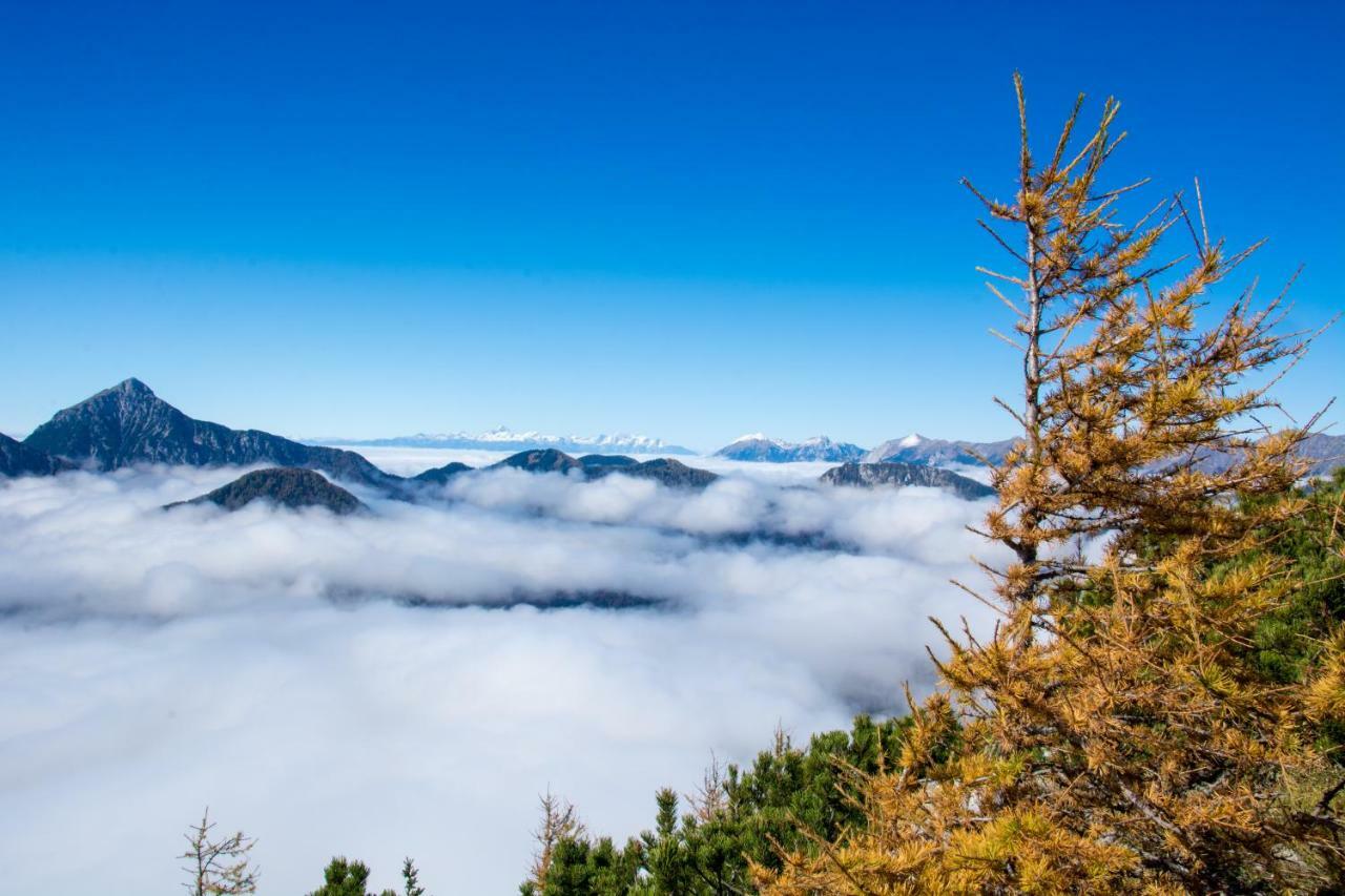 Homestay Kocka Zgornje Jezersko Luaran gambar